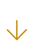 file with download symbol